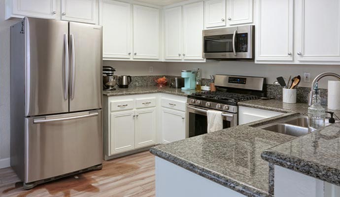 leaky refrigerator in kitchen