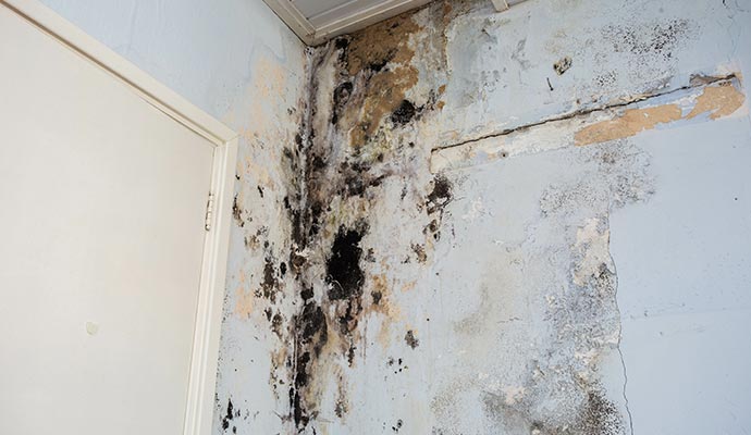 Plumbing leak damage restoration