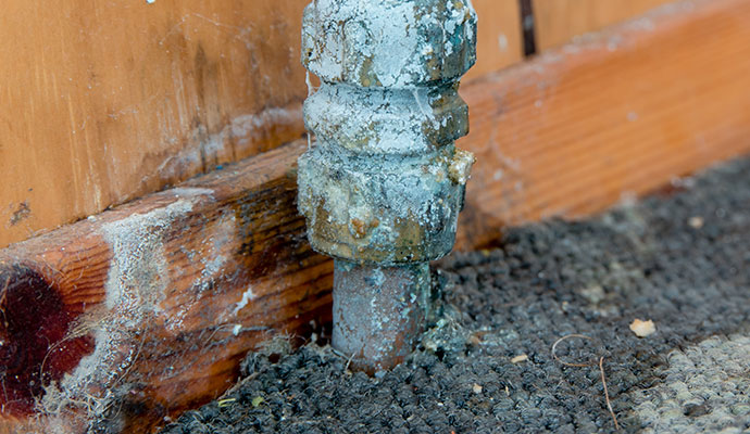 Carpet damaged by old water pipe leak