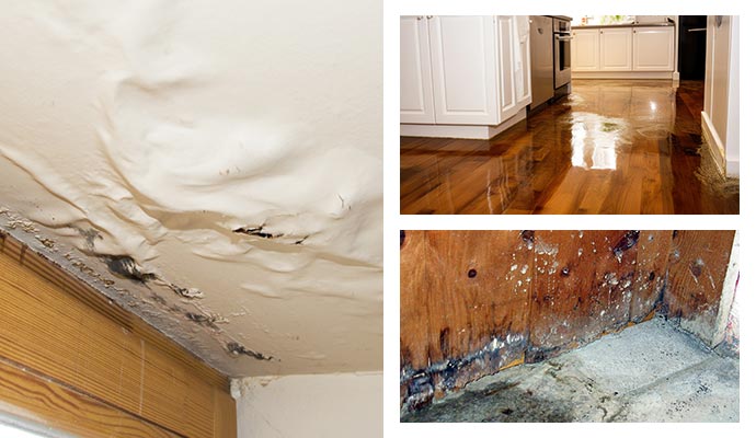 plumbing and structural damage