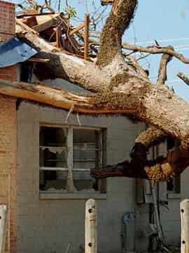 Storm Damage Restoration