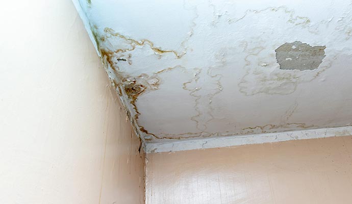 Structural water damage restoration service