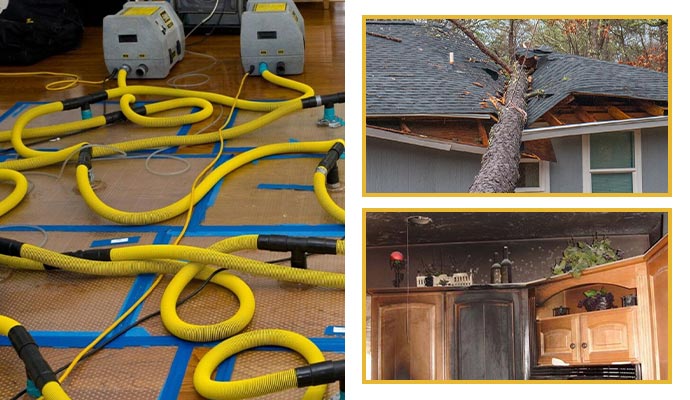 Restoration services for water, storm, and fire damage.