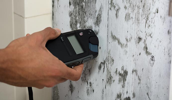 Worker testing black mold